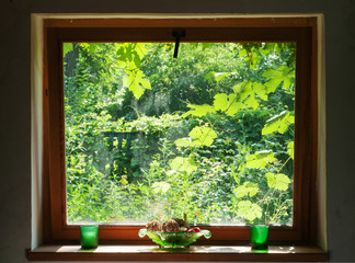 A view on a sunny day from a wooden square window into a green garden with grape leaves, a piece of...