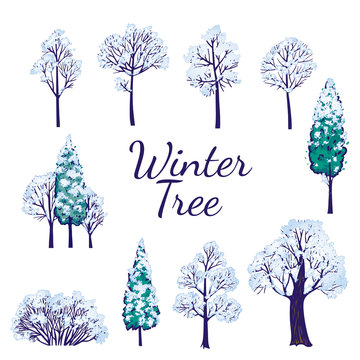 Winter tree set. Vector tree collection.