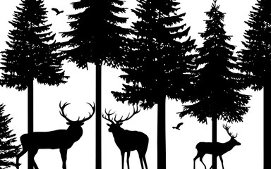 Fototapeta premium Deers and fir trees