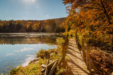 Wooden bridge crossing a pond on a beautful autumn day