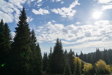 Colorful autumn leaves on the trees in nature. Slovakia	