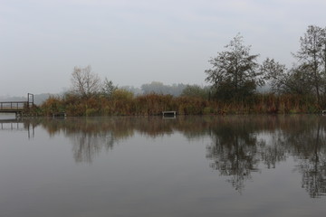 The shore of the forest lake is beautiful in early autumn