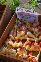 Fresh organic ginger at the farmer's market vertical