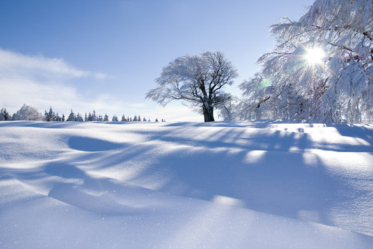Verschneite Winterlandschaft an einem sonnigen Tag im Schwarzwald / Snowy winter landscape on a sunny day in the Black Forest
