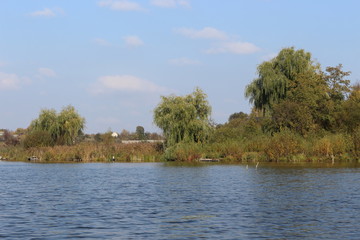 Lake shore in sunny weather. View from the boat