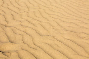 curved pattern on sand