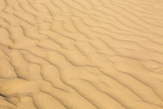 curved pattern on sand