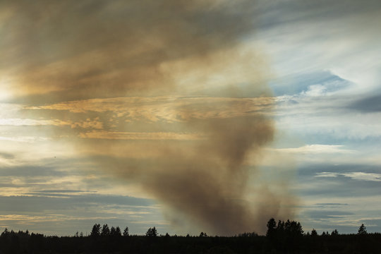 Forest fire in Washington State