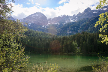 Fototapeta na wymiar Blick auf den Tovelsee Naturpark Impressionen Italien Lago di Tovel