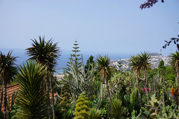 Jardin botanique - Vue Funchal 2 - Mad&egrave;re