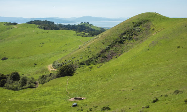 Pasture at Wildcat Canyon