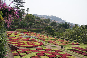 Jardin botanique - Art - Mad&egrave;re