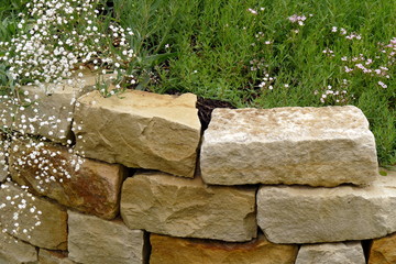 Kleine Natursteinmauer mit Schleierkraut