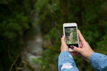 a woman's hand with a manicure takes a photo of the forest landscape
