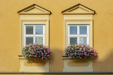 Fototapeta na wymiar Windows with flowers at sunset