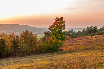 Fototapeta na wymiar Jesienny zachód słońca nad polaną, Chęciny