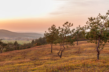 Jesienny zachód słońca nad polaną, Chęciny