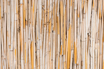 Reed cane texture background photo close up