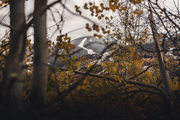 Ski runs at Vail, Colorado framed between autumn leaves after a snow storm. 