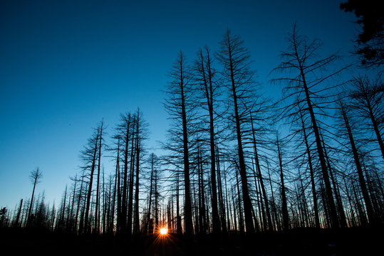Winter Sunset in Bryce Canyon National Park, Utah