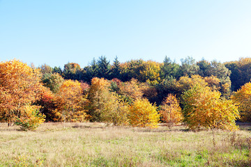 Fototapeta premium Indian Summer in Hamburg