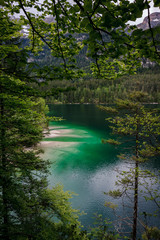 Fototapeta na wymiar Tovelsee Grünes Wasser Naturpark Impressionen Italien Lago di Tovel