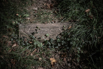 Obraz premium Step on a hiking path