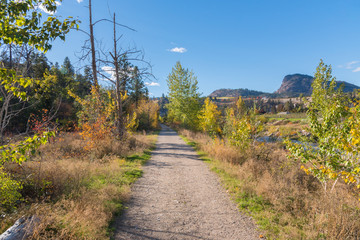 Path through forest in autumn with mountains and blue sky