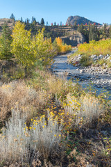 Creek running through autumn forest with mountain and blue sky in background