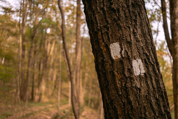 Trail Marker Go Left