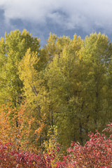 fall time in the Pacific Northwest