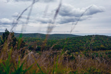 Cloudy Forest Mountains