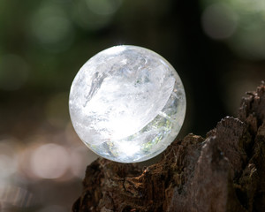 Lemurian Clear Quartz Sphere crystal magical orb on moss, bryophyta and bark, rhytidome in forest preserve.