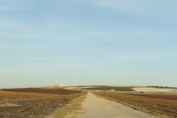 Fototapeta na wymiar Camino rural entre campos de algodón, después de recoger la cosecha.