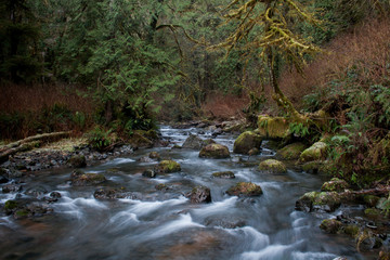 Obraz premium North Creek above