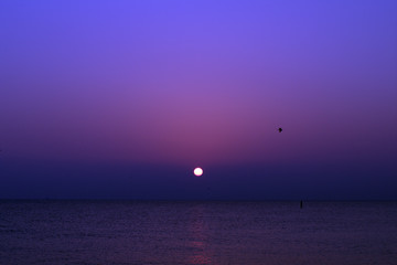 sunset at the sea, sea, sun,horizon, evening,blue,panorama,view