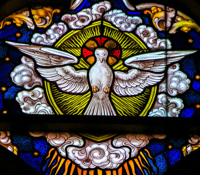 Stained Glass - Dove, Holy Spirit