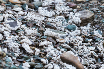 Natural rough salt on stones