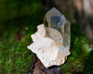 Cathedral citrine quartz point from Brazil nestled in matrix on moss, bryophyta and bark, rhytidome in forest preserve.