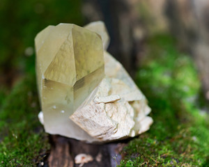 Cathedral citrine quartz point from Brazil nestled in matrix on moss, bryophyta and bark, rhytidome in forest preserve.