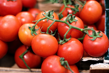 red fresh tomatoes on branch on counter. small red tomatoes in supermarket with green branch and  healthy food for diet and delicious.
