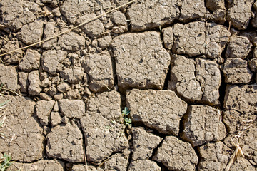 Desert soil. Waterless arid dirt
