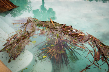 Debris in pool after hurricane Michael