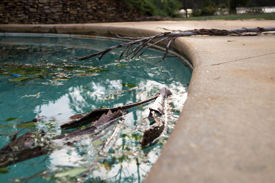 Debris in pool after hurricane Michael
