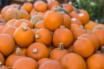 a lot of orange carving pumpkins on the farmer market