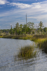 The wetlands of southern Maryland along the Chesapeake Bay