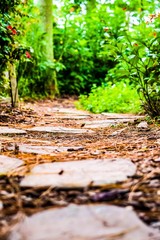 path in garden