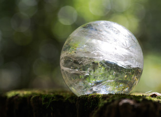 Lemurian Clear Quartz Sphere crystal magical orb on moss, bryophyta and bark, rhytidome in forest preserve.