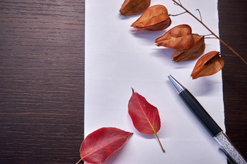 Fototapeta na wymiar Autumn foliage pen and paper on the table.