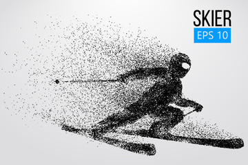 Plakat Silhouette of a skier jumping isolated. Vector illustration